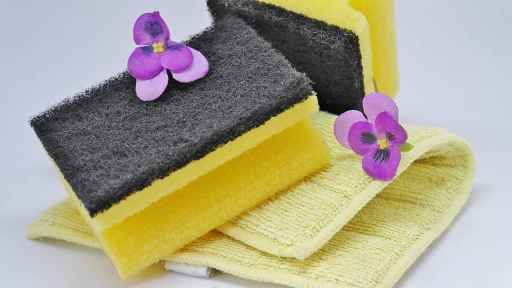 hygiene-nettoyage printemps location saisonniere hygiene-nettoyage printemps location saisonniere