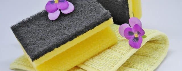 hygiene-nettoyage printemps location saisonniere