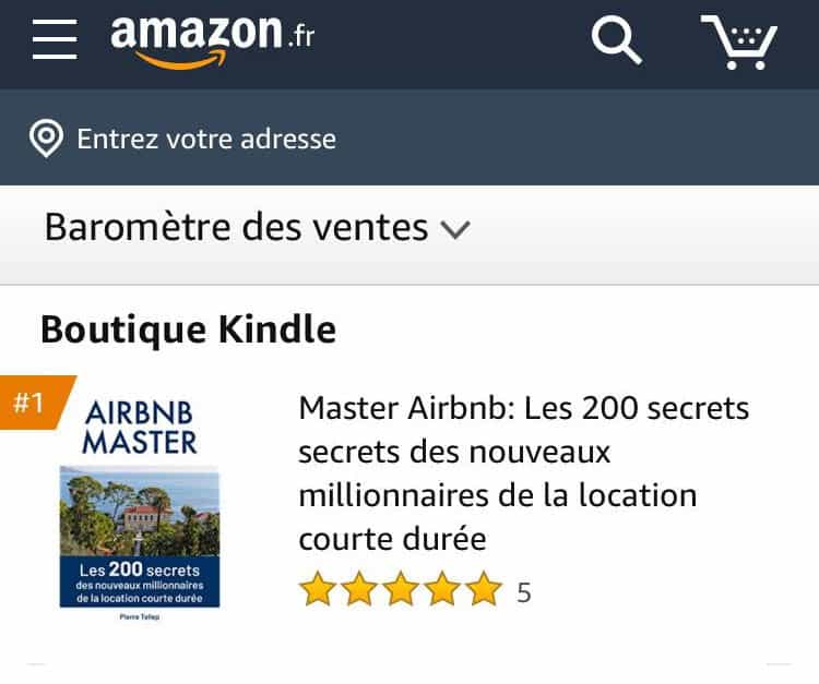  Livre  Airbnb  Master le r sum  des secrets des millionnaires