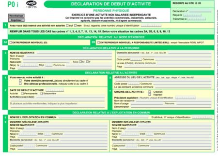Formulaire P0i : Comment le Remplir ? (début d'activité + vidéo)